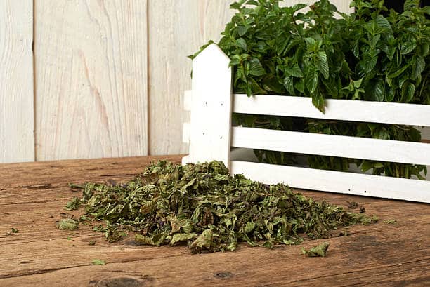 تصویر 1 از نعنا فلفلی خشک فله تازه با عطر قوی و رایحه طبیعی